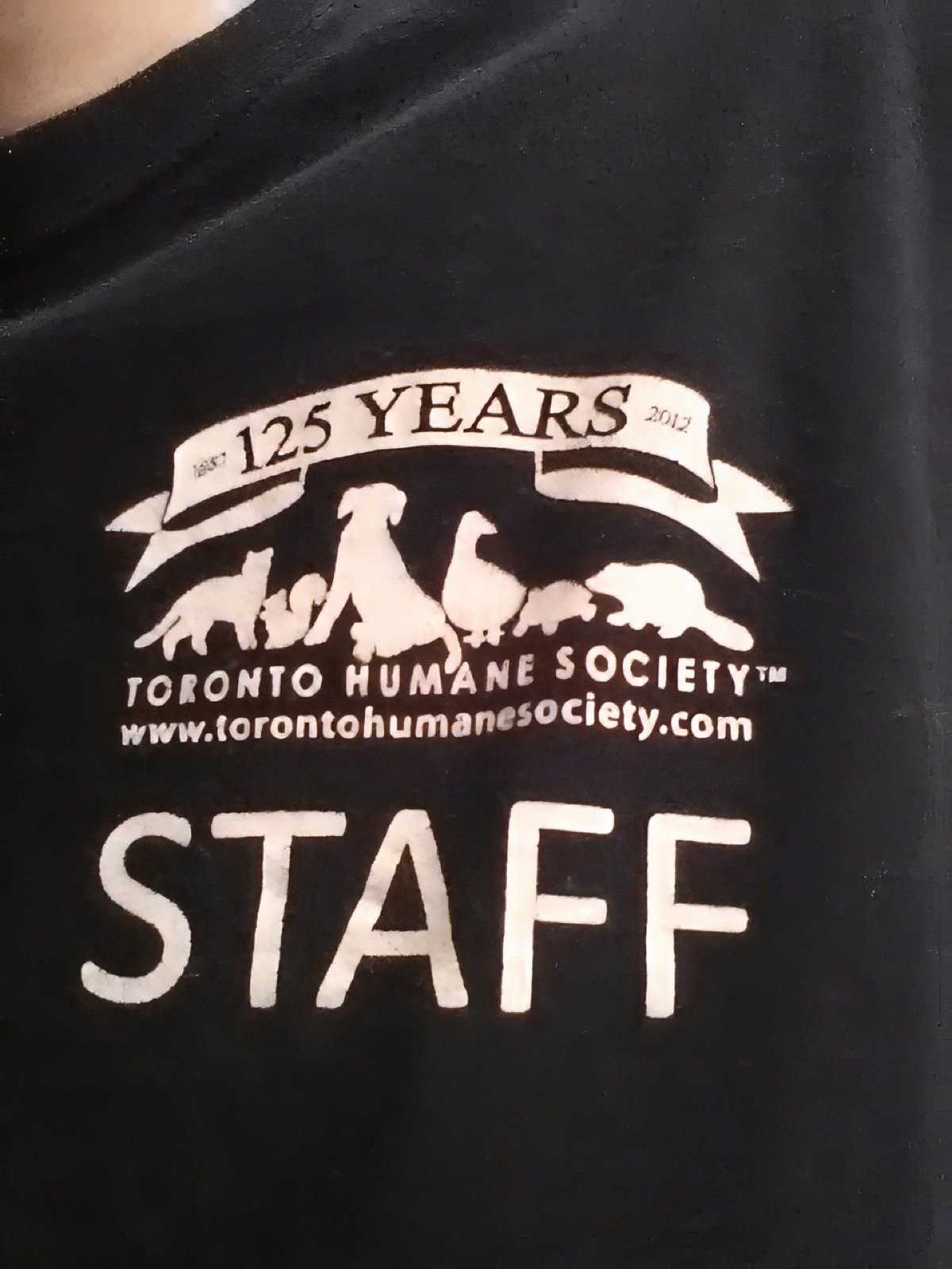 Close-up of a Toronto Humane Society 125 Years Animal Care Worker staff shirt
